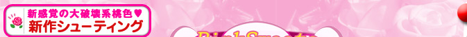 VȏjnFVV[eBO
